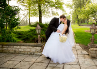 Bodas