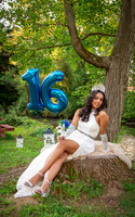Sweet16017